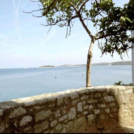 Apartment Giulio - 10Mt To The Beach 로비니 외부 사진
