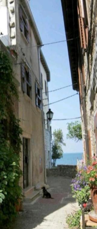 Apartment Giulio - 10Mt To The Beach 로비니 외부 사진